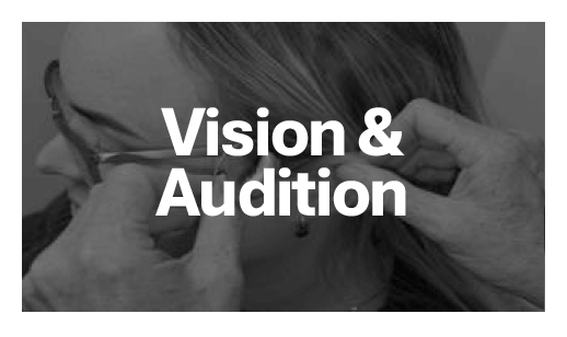visison & audition